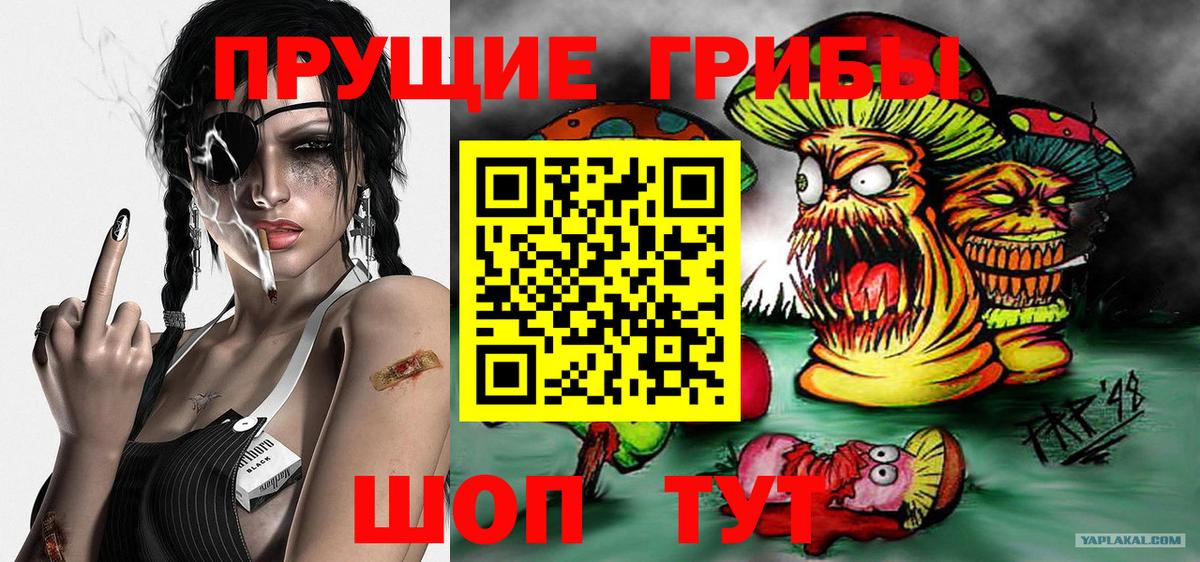 Галлюциногенные грибы мухоморы Касимов