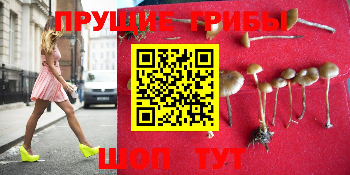 Касимов  Псилоцибиновые грибы ЛСД  Вход с VPN 